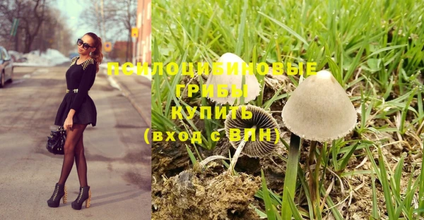 тгк Баксан