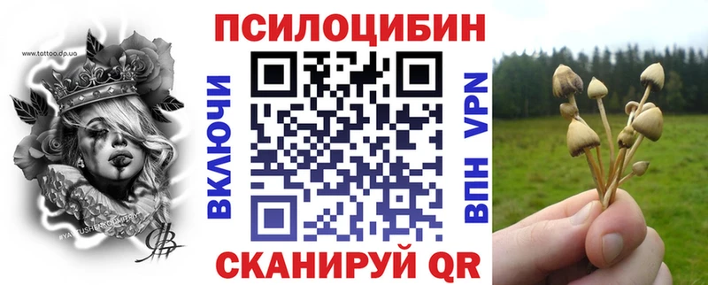 Галлюциногенные грибы Cubensis  Белозерск 